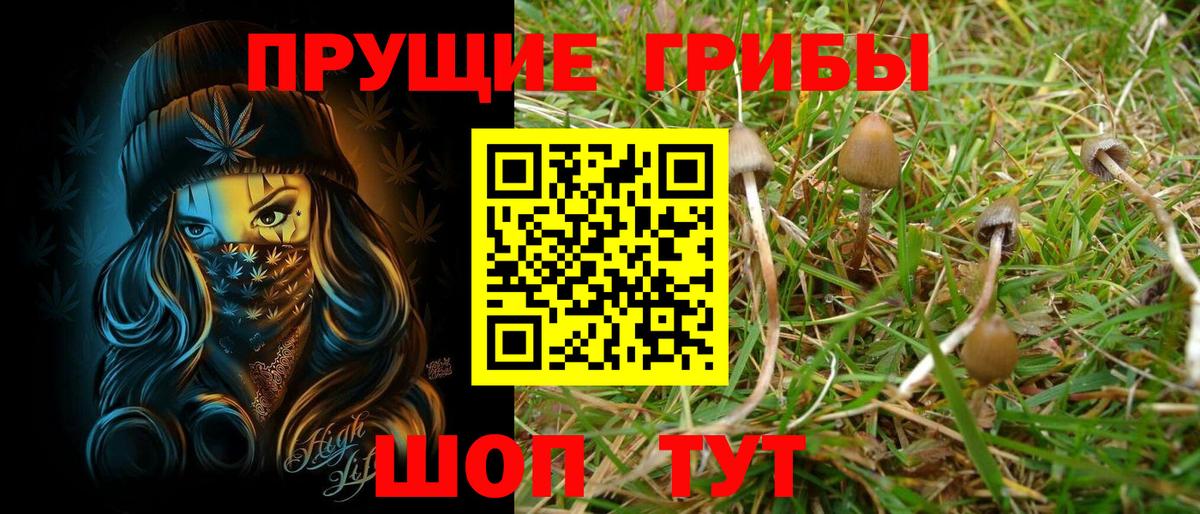 Галлюциногенные грибы GOLDEN TEACHER Сызрань