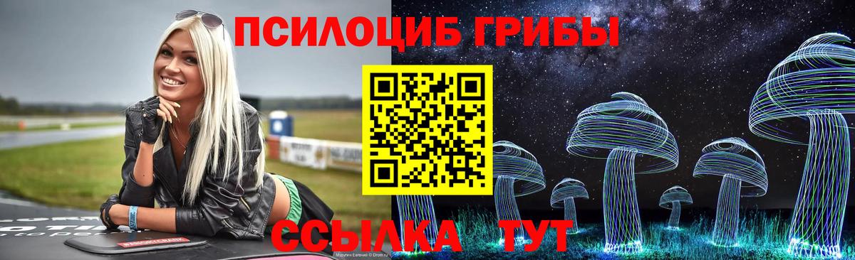 Сызрань  Псилоцибиновые грибы Magic Shrooms  Вход с VPN 